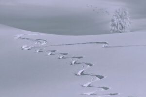 Was lässt Du weg, um Dich zu fokussieren?