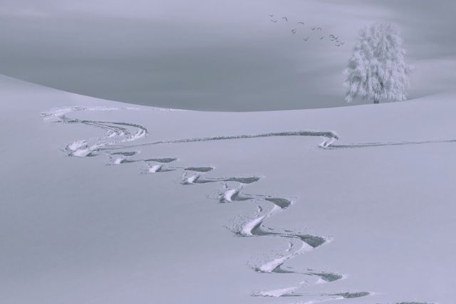 Was lässt Du weg, um Dich zu fokussieren?