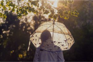 Siebenschläfer – wie soll Dein Wetter sein