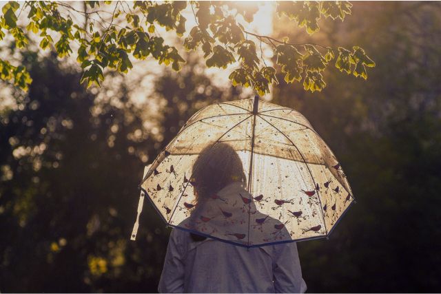 Siebenschläfer – wie soll Dein Wetter sein